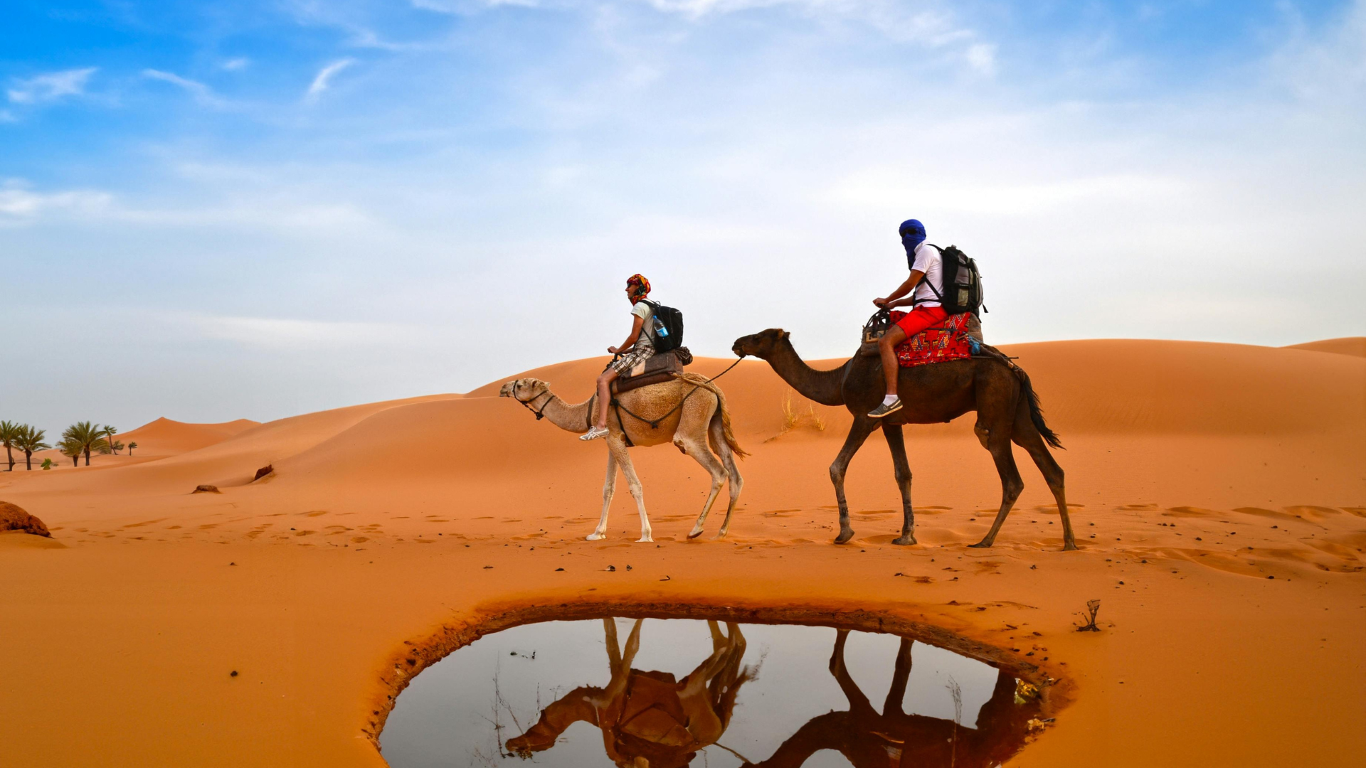 MAROCCO