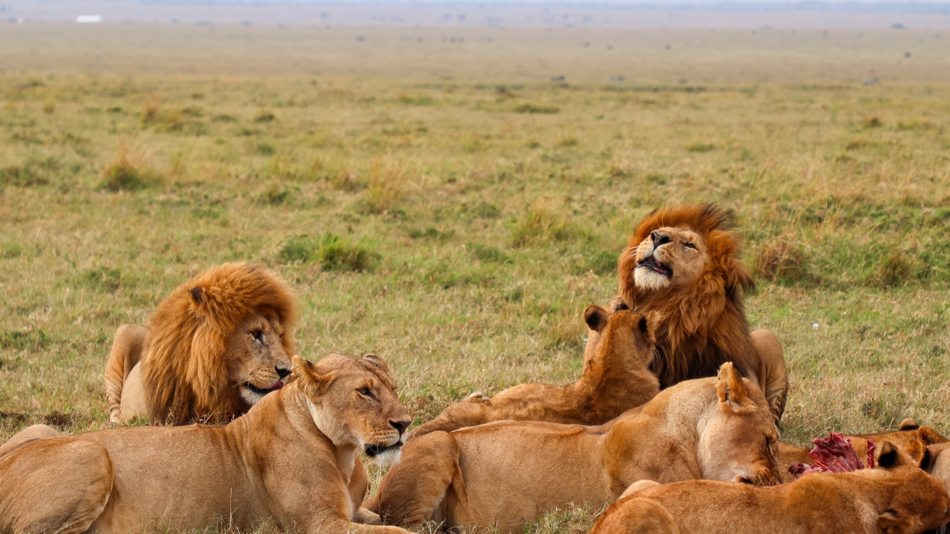 KENYA