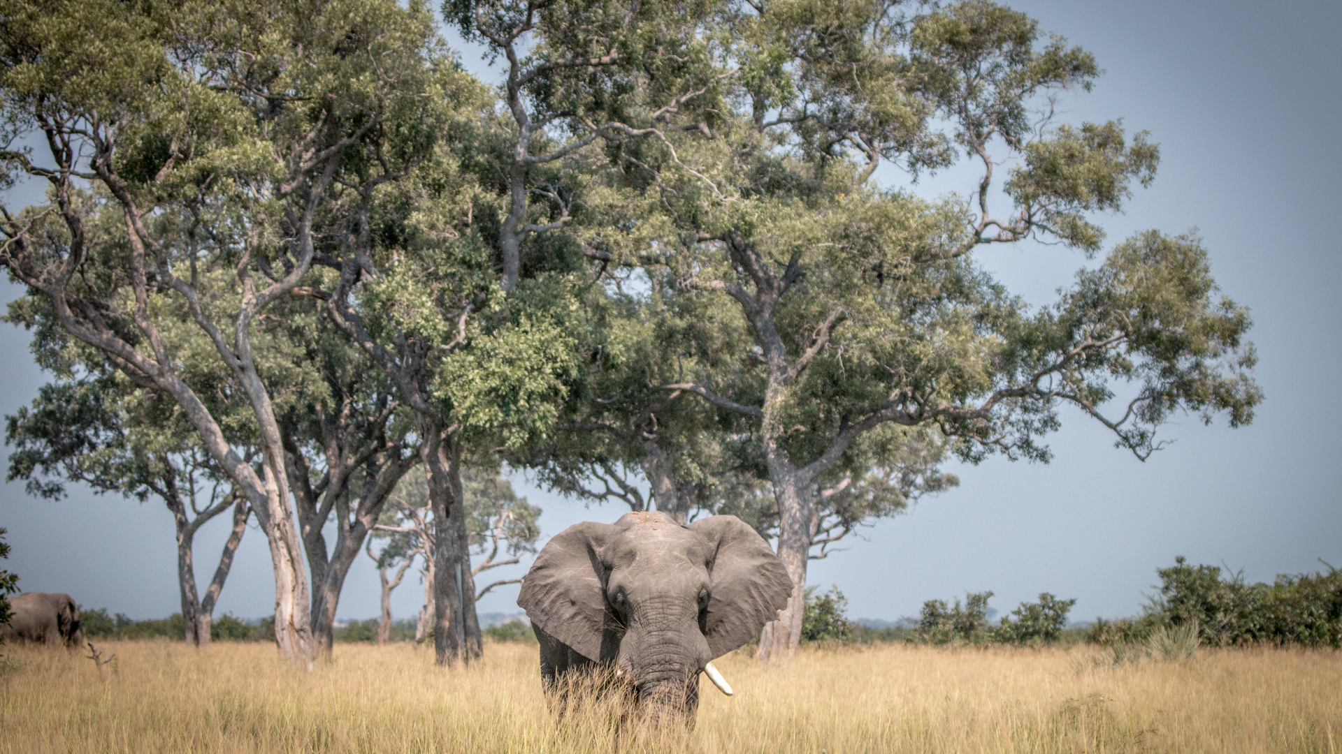 sudafrica