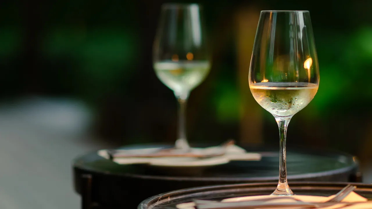 AUSTRALIA FOTO VINO.png