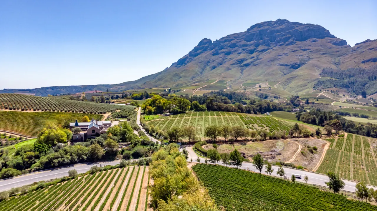 Stellenbosch 