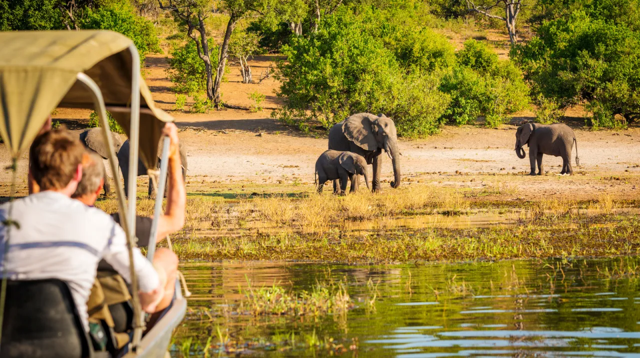 SAFARI SUDAFRICA