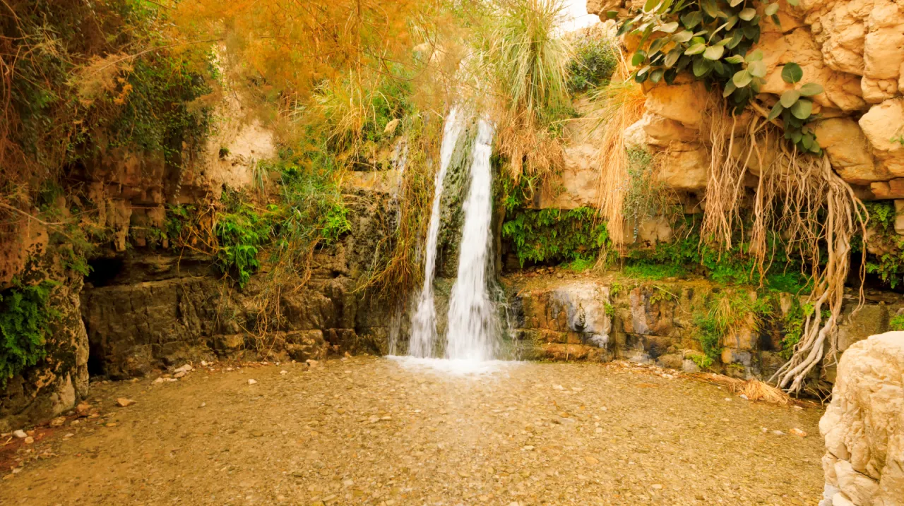 Ein Gedi