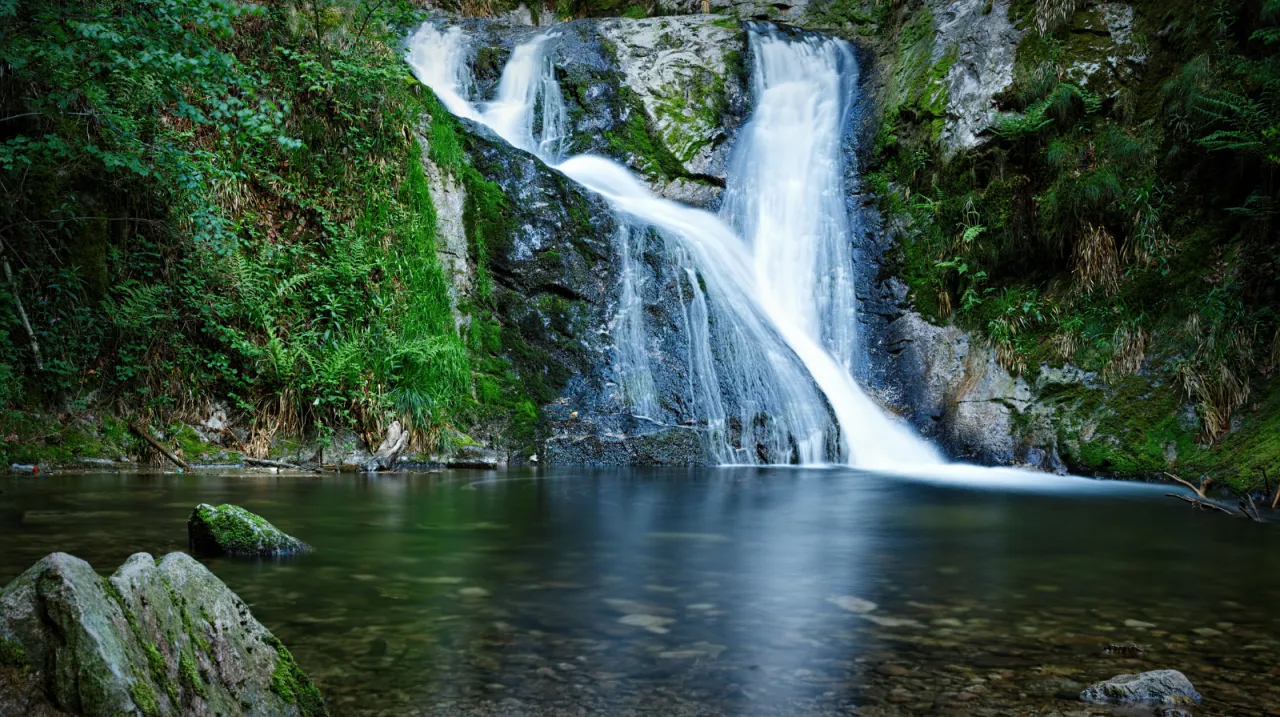 Foresta Nera germania 