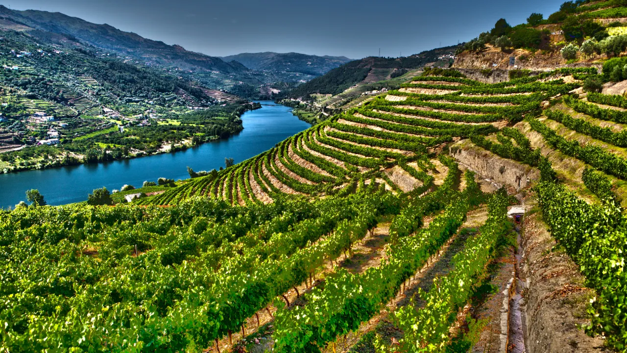  Valle del Douro