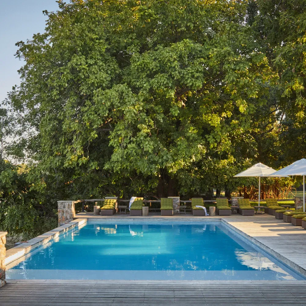 mfuwe lodge