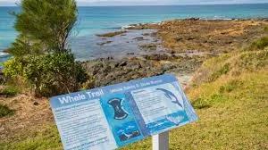 Bay of Many Coves, Marlborough Sounds hotel image from Expedia