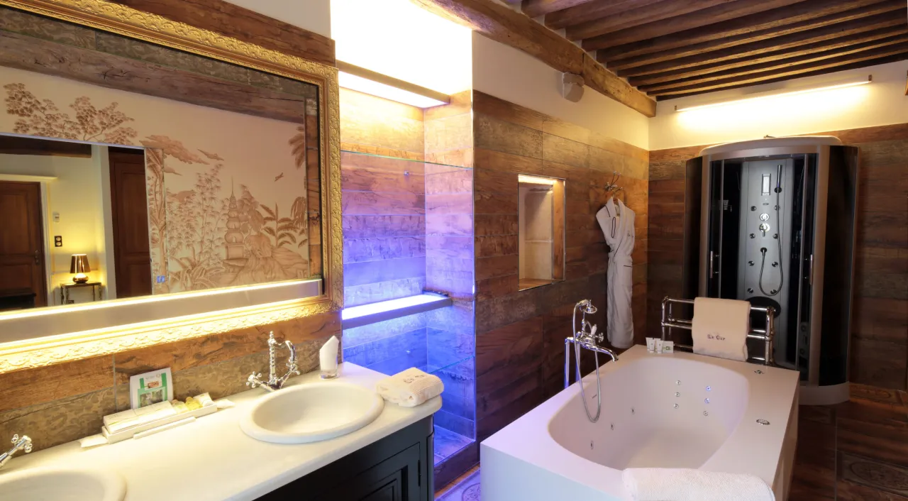 Hotel Le Cep, Beaune hotel image from Expedia