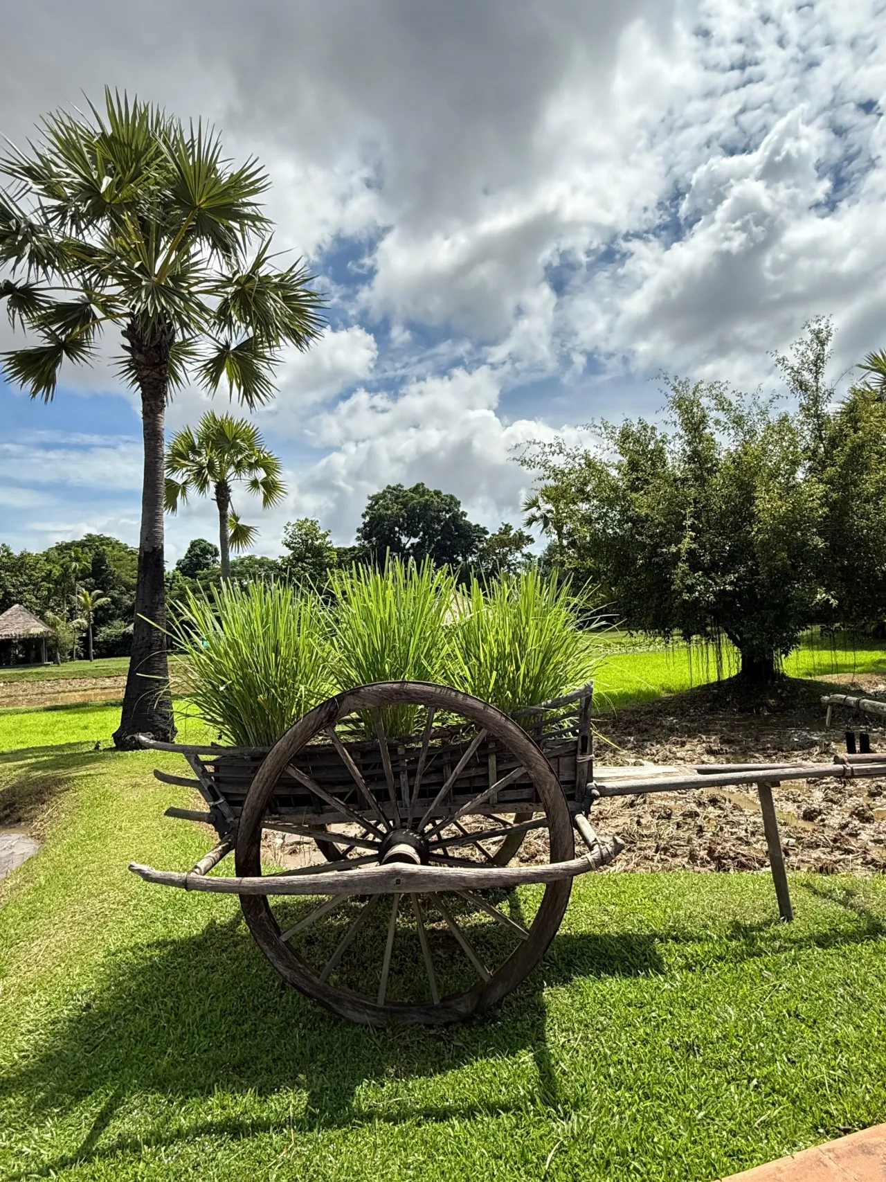 Phum Baitang, Siem Reap hotel image from Expedia