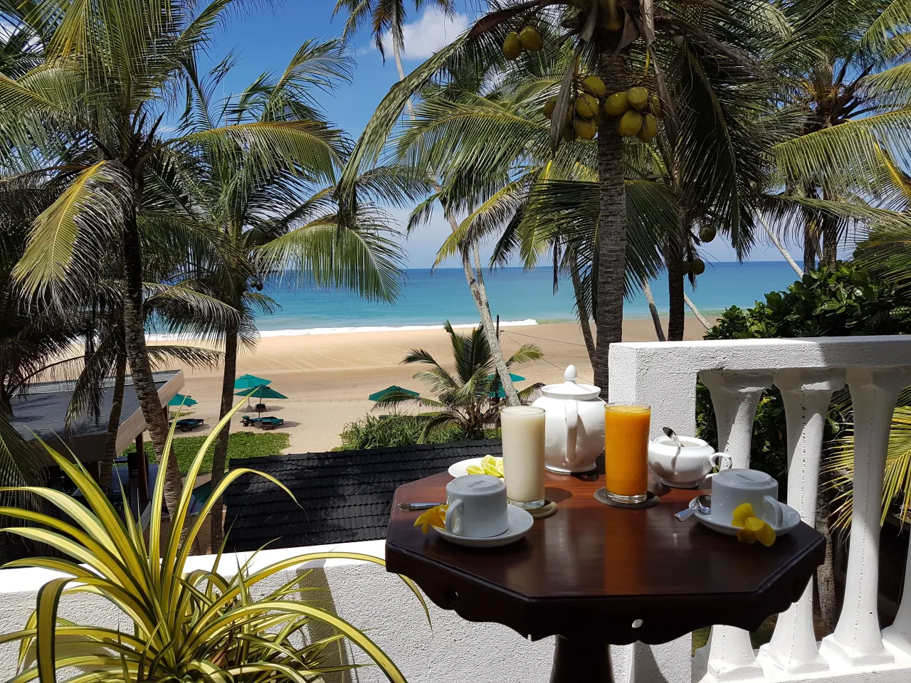 The Last House hotel image from Expedia