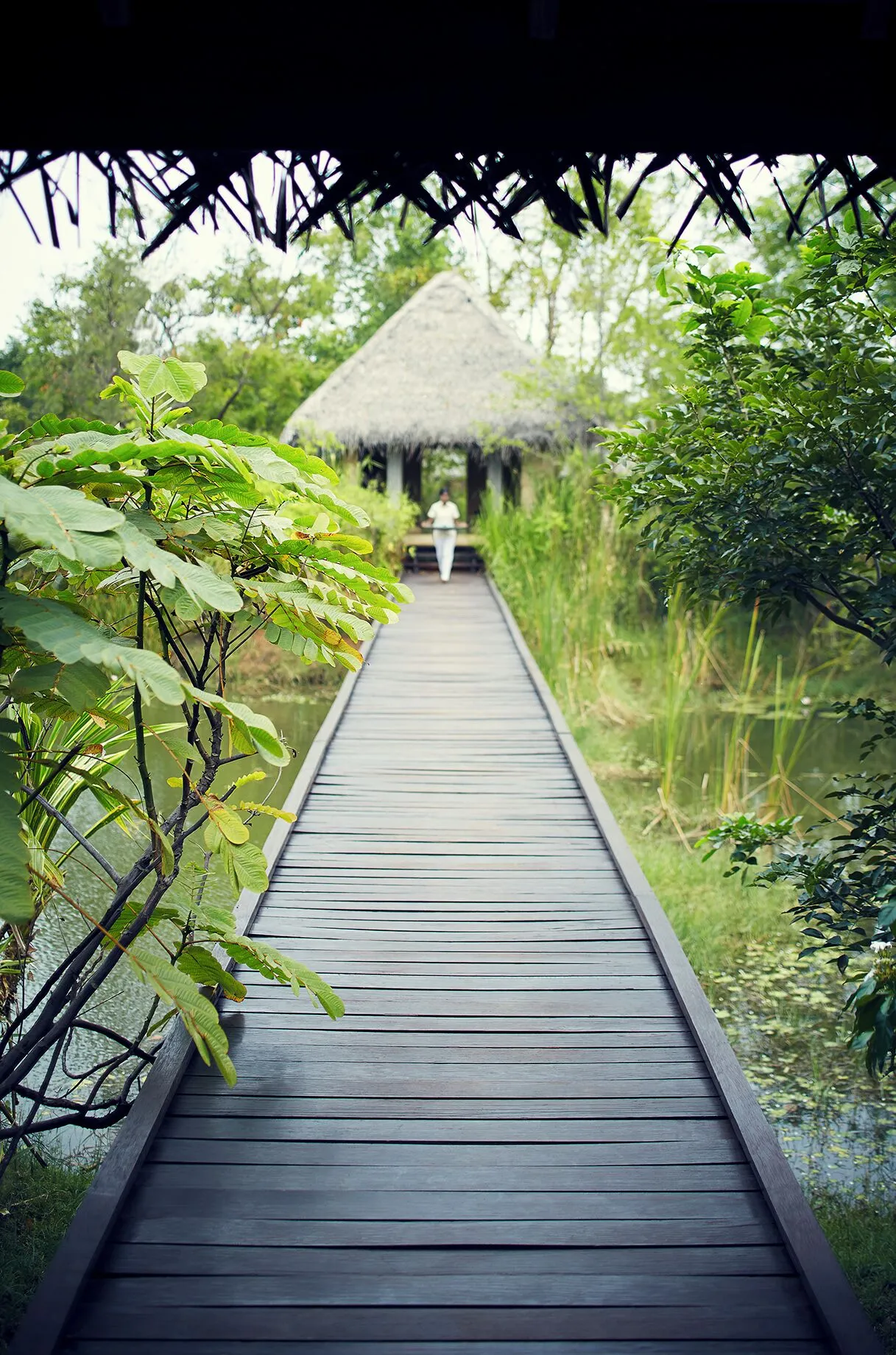 Vil Uyana, Sri Lanka hotel image from Expedia