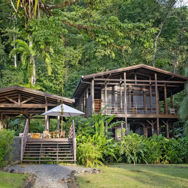 Playa Cativo, Penisola di Osa hotel image from Expedia